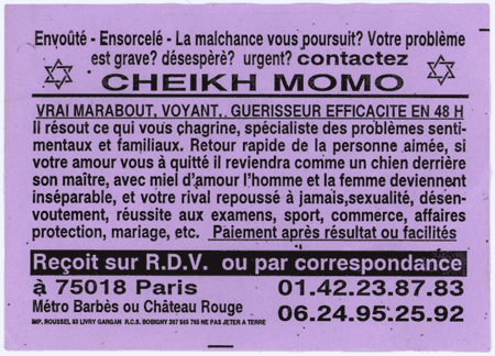 cheikh-momo-mauve